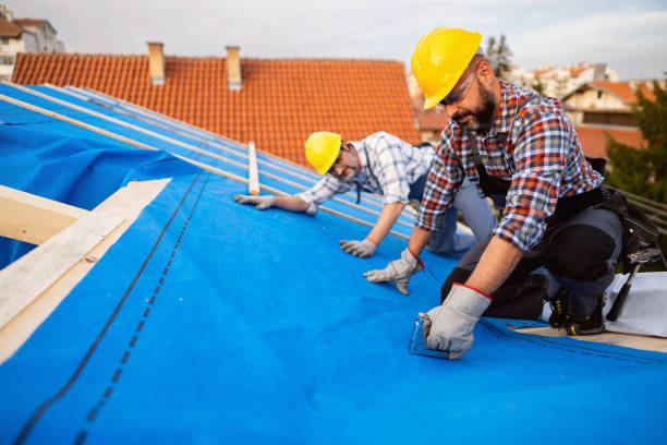 Best Emergency Roof Repair  in Maysville, NC