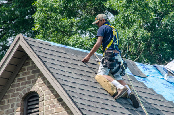Best New Roof Installation  in Maysville, NC